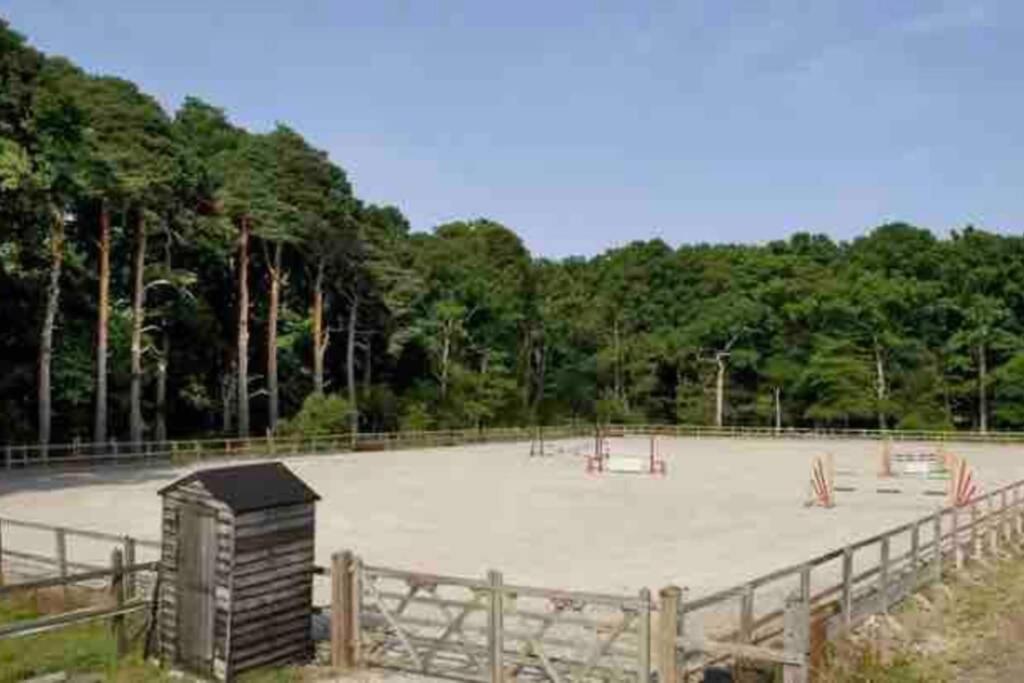 Langford Farmhouse - New Forest National Park Luxury 4Bd, Hot Tub, Cinema, 10 Acres Bartley Extérieur photo