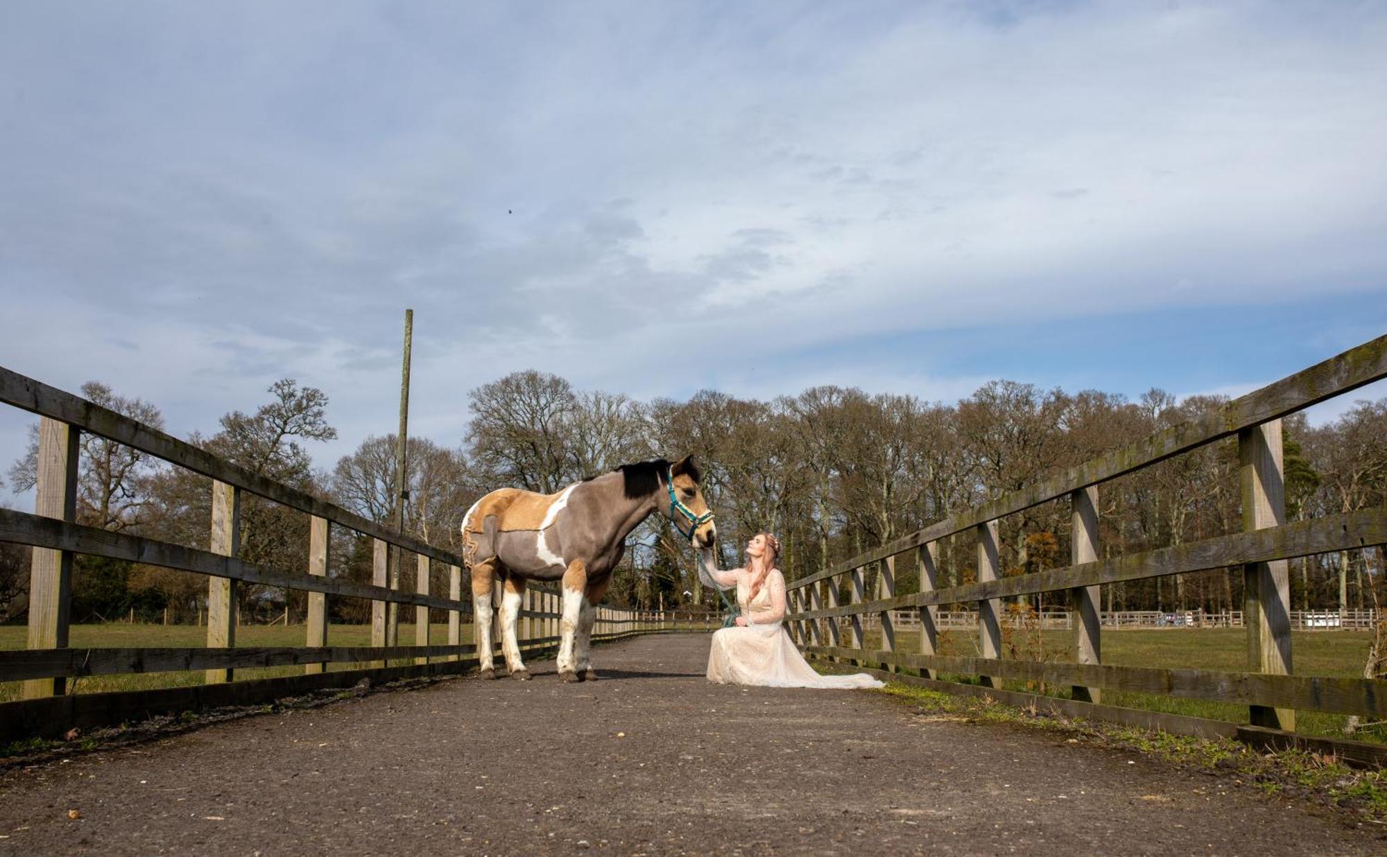 Langford Farmhouse - New Forest National Park Luxury 4Bd, Hot Tub, Cinema, 10 Acres Bartley Extérieur photo